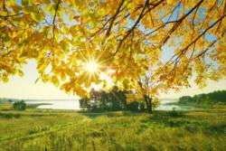 Fall foliage on the Maine coast